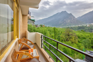 Hotels In Manali Velly View
